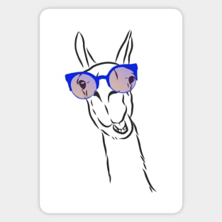 cute hipster llama in trendy colorful glasses Sticker